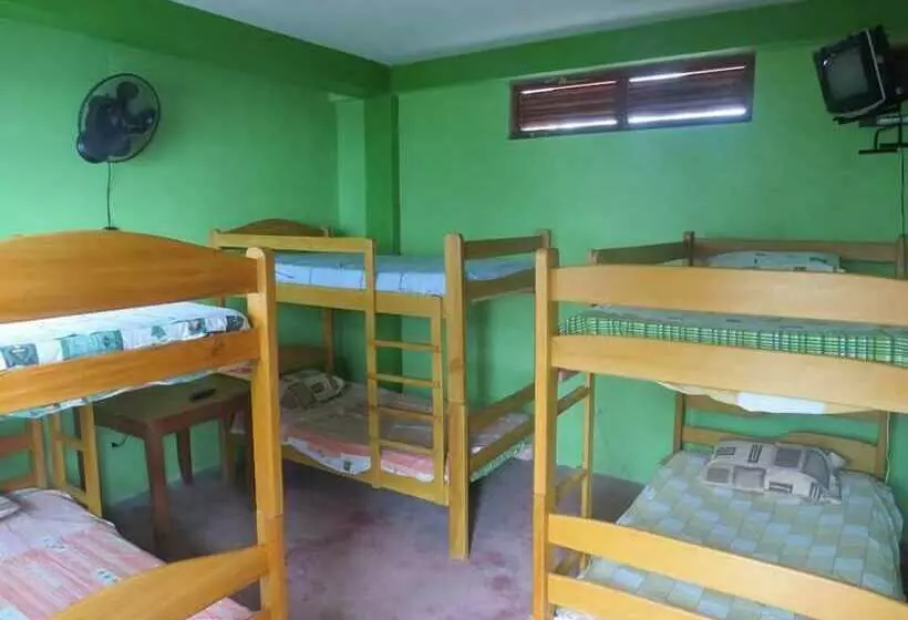 Bambú   Hostel