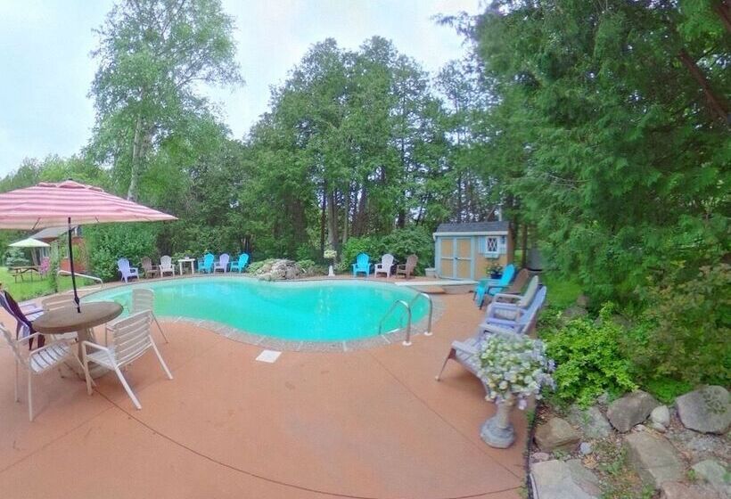 Forest Creek Bed & Breakfast And Retreat