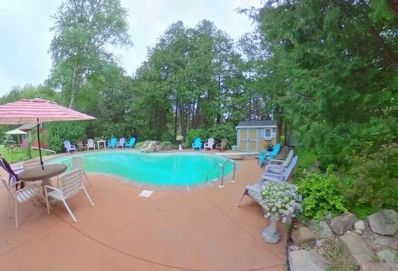 Forest Creek Bed & Breakfast And Retreat