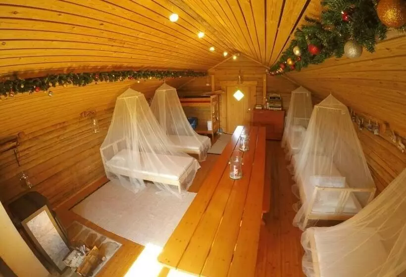 Havu Arctic Holidays Aitta