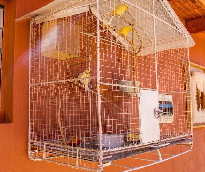 Hostal Lalck Cketi San Pedro De Atacama