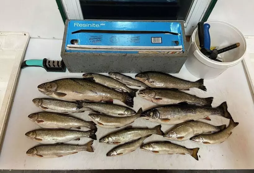 Hotelli Auberge La Taniere A Tadoussac