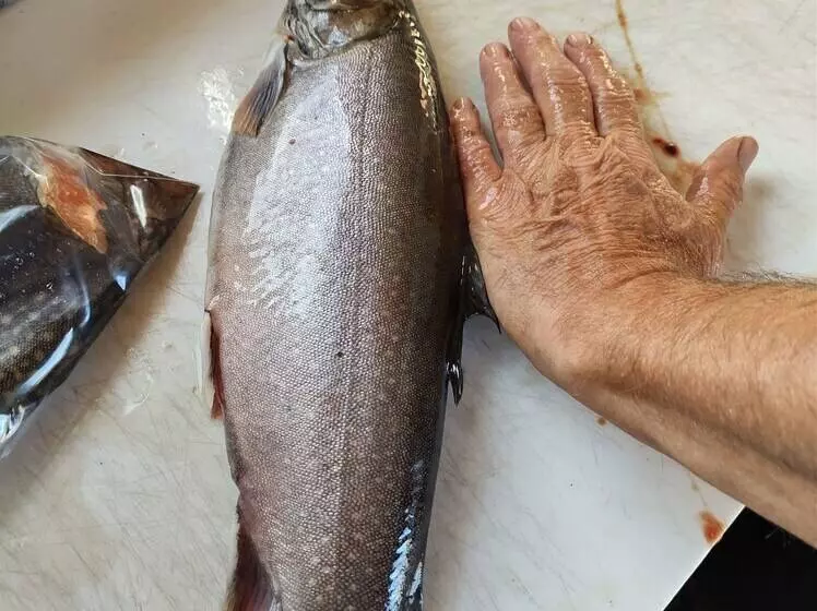 Hotelli Auberge La Taniere A Tadoussac