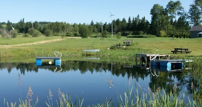 Отель Bear Rock Suites