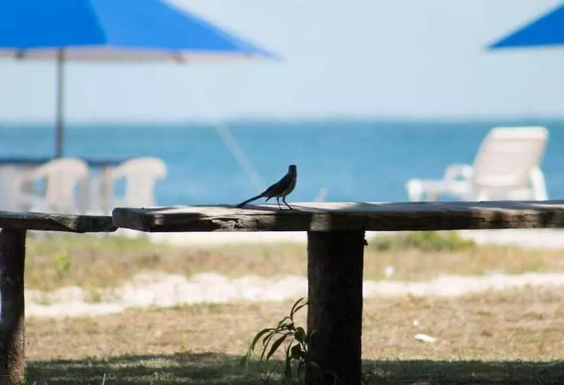 Hotelli Borabora Pousada