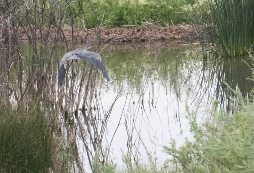 בית מלון כפרי Boulder Mountain Guest Ranch