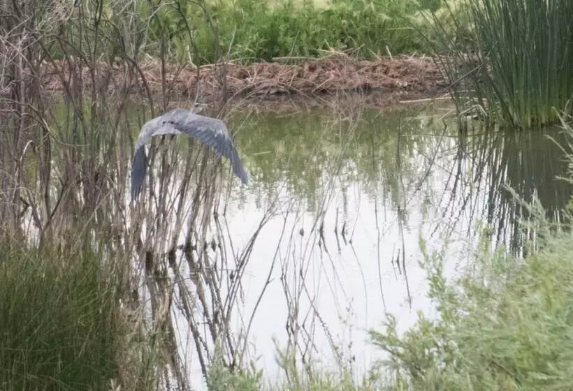 Hotelli Boulder Mountain Guest Ranch