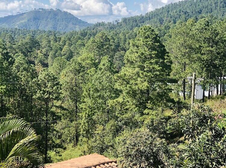 هتل Cabañas Los Encinos