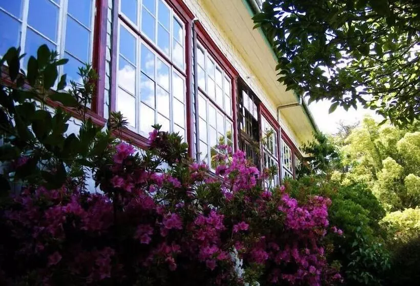 Hotelli Casa De La Oma