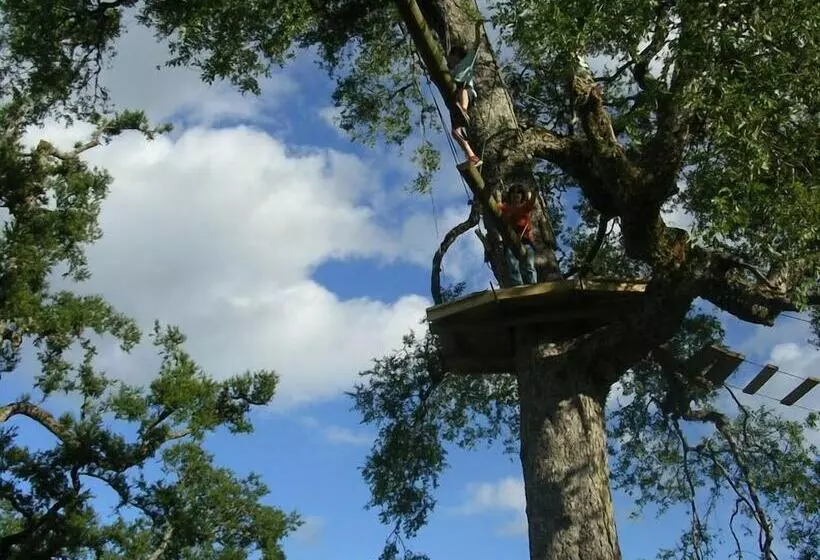 Hotelli Casa De La Oma