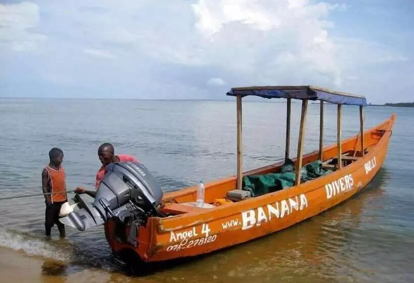 هتل Daltons Banana Guesthouse