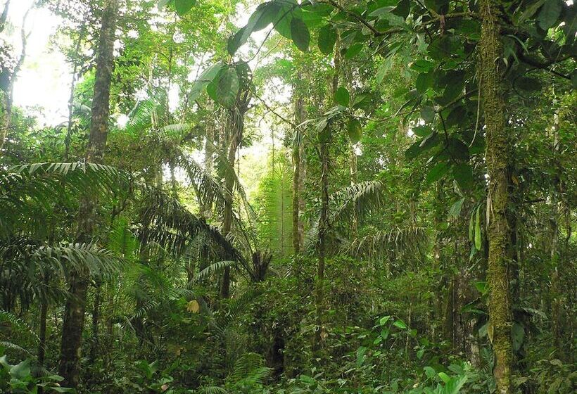 هتل Daltons Banana Guesthouse