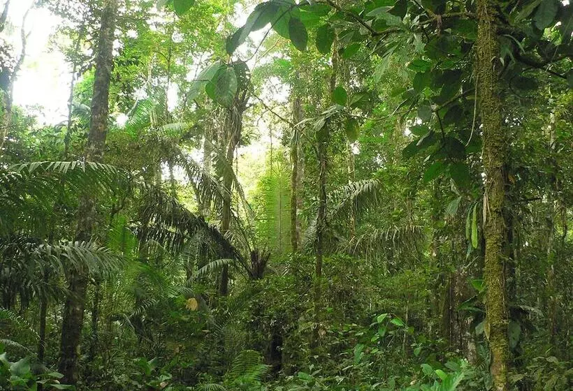 هتل Daltons Banana Guesthouse