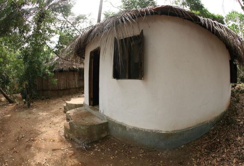 هتل Daltons Banana Guesthouse