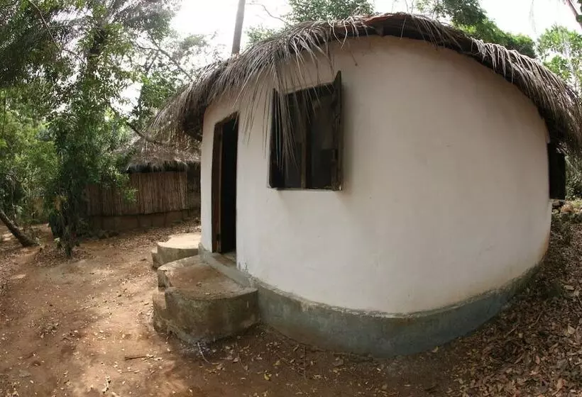 هتل Daltons Banana Guesthouse