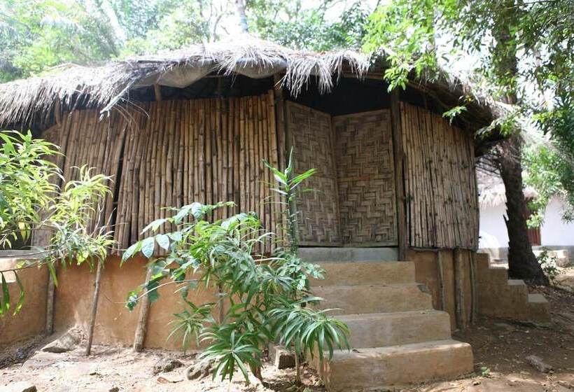 هتل Daltons Banana Guesthouse