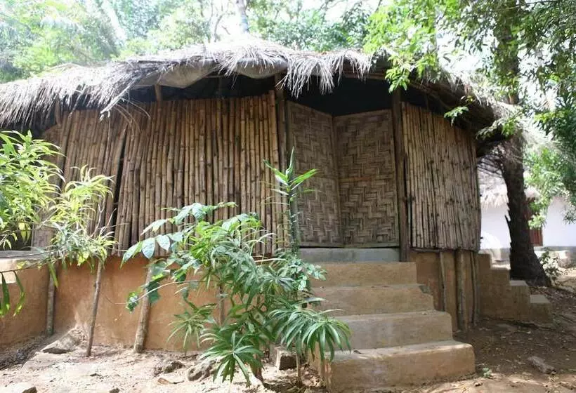 هتل Daltons Banana Guesthouse