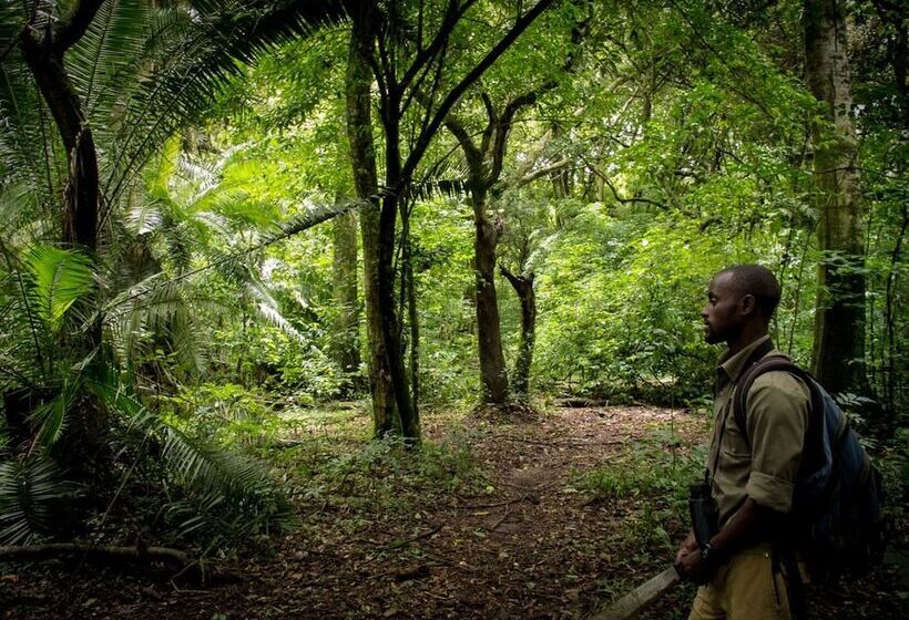 هتل Daltons Banana Guesthouse