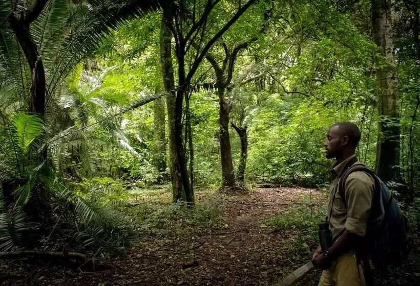 هتل Daltons Banana Guesthouse