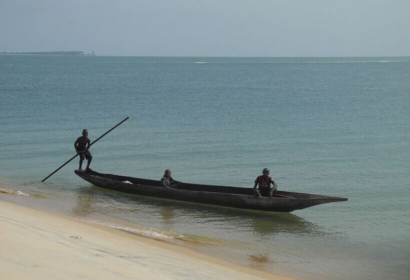 هتل Daltons Banana Guesthouse