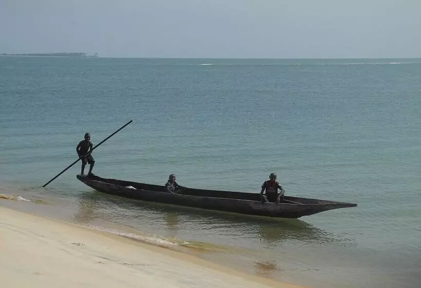 هتل Daltons Banana Guesthouse