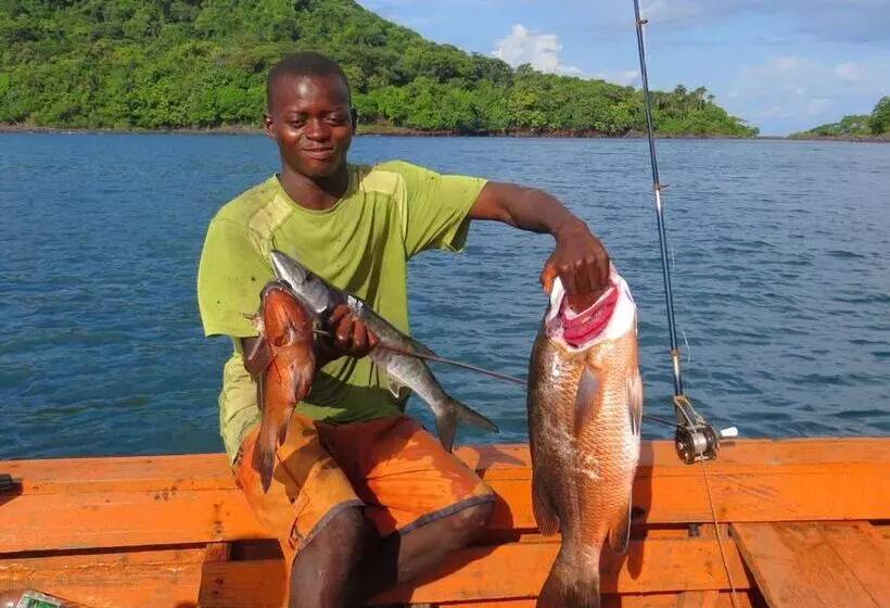 هتل Daltons Banana Guesthouse