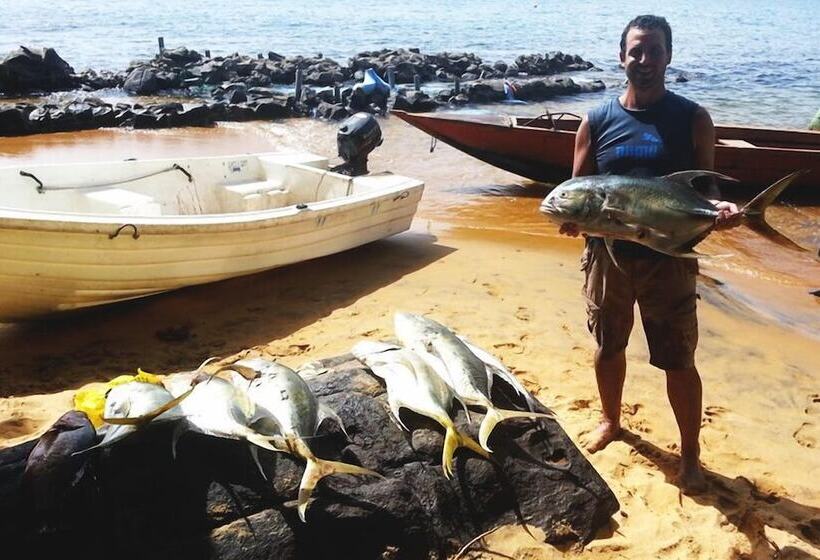 هتل Daltons Banana Guesthouse