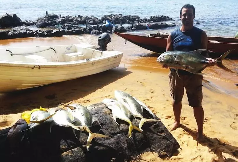 هتل Daltons Banana Guesthouse