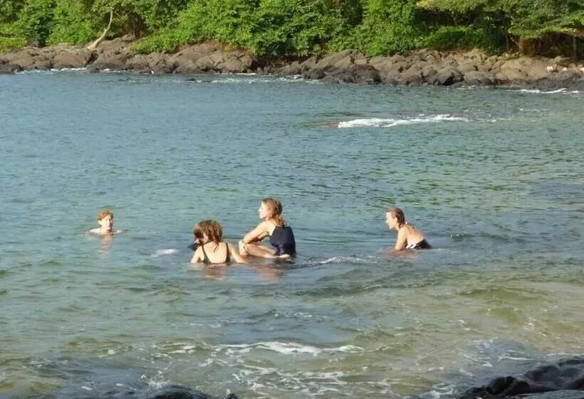 هتل Daltons Banana Guesthouse