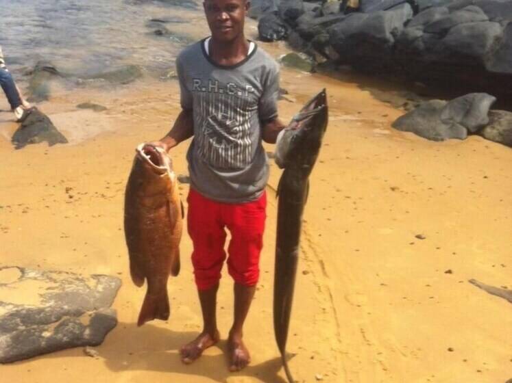 هتل Daltons Banana Guesthouse