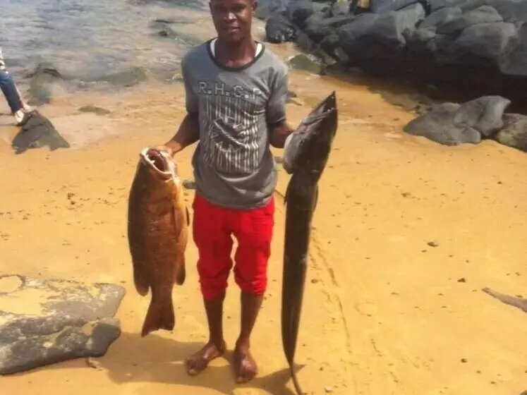 هتل Daltons Banana Guesthouse