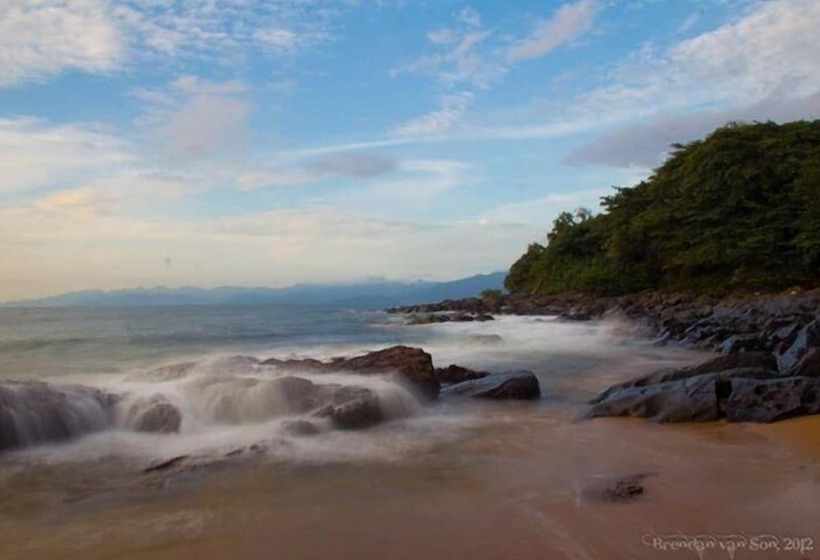 هتل Daltons Banana Guesthouse