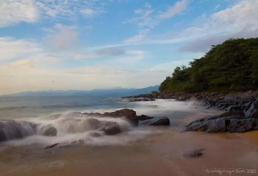 هتل Daltons Banana Guesthouse