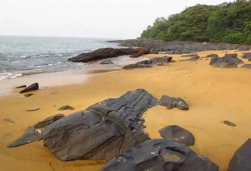 هتل Daltons Banana Guesthouse