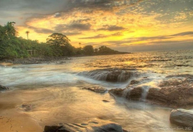 هتل Daltons Banana Guesthouse