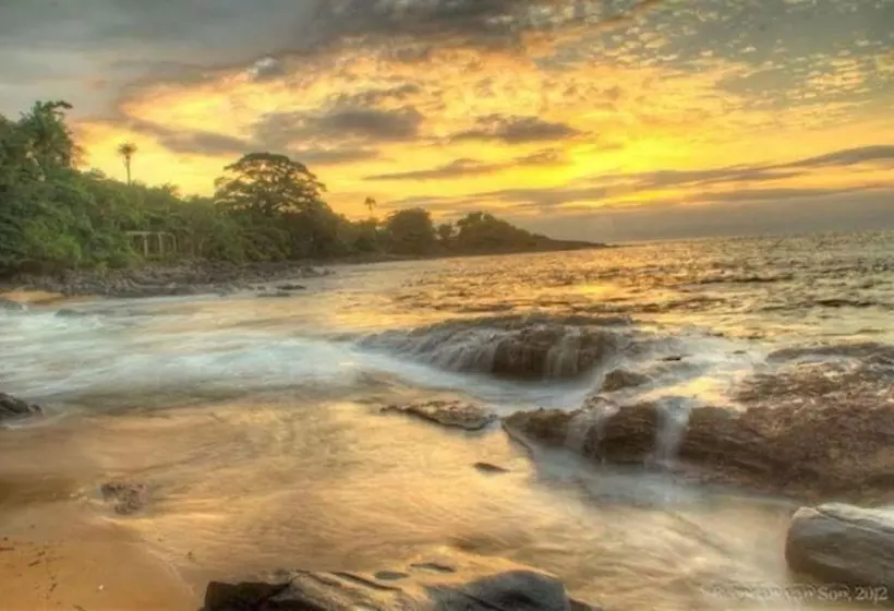 هتل Daltons Banana Guesthouse