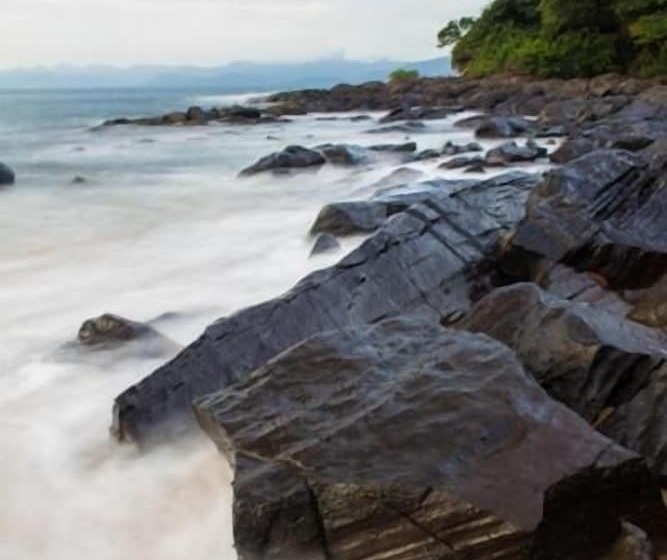 هتل Daltons Banana Guesthouse