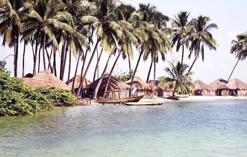 هتل Daltons Banana Guesthouse