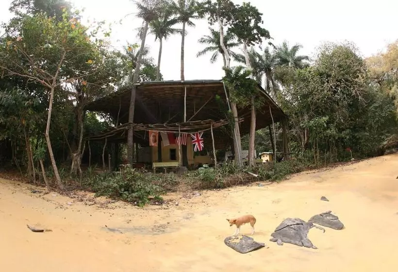 هتل Daltons Banana Guesthouse