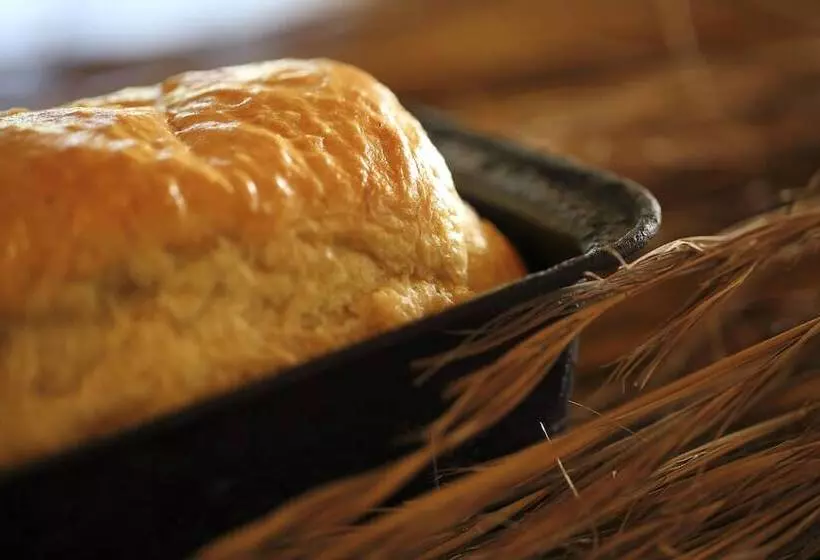 هتل Flatdogs Camp