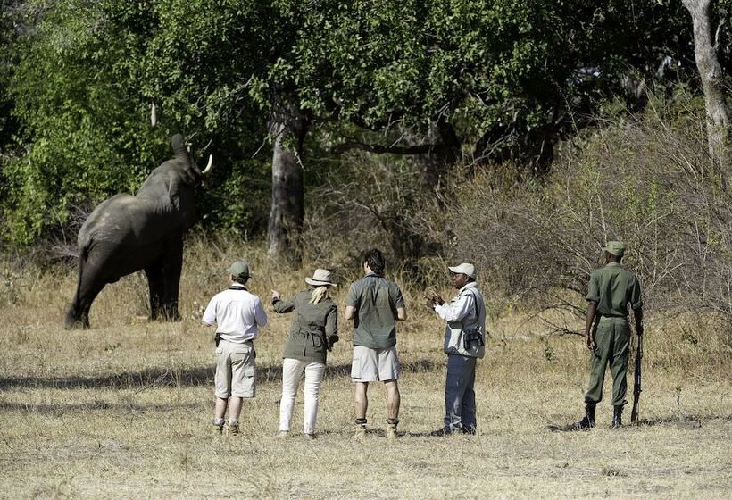 בית מלון כפרי Flatdogs Camp