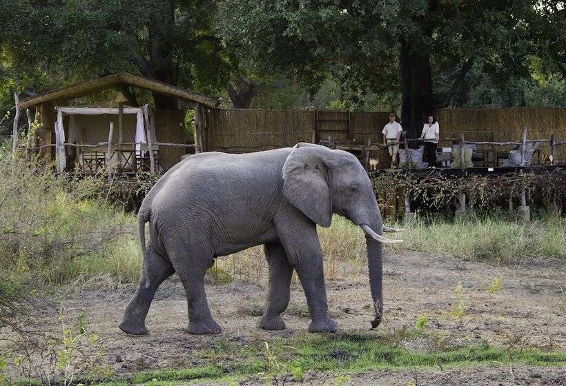 בית מלון כפרי Flatdogs Camp