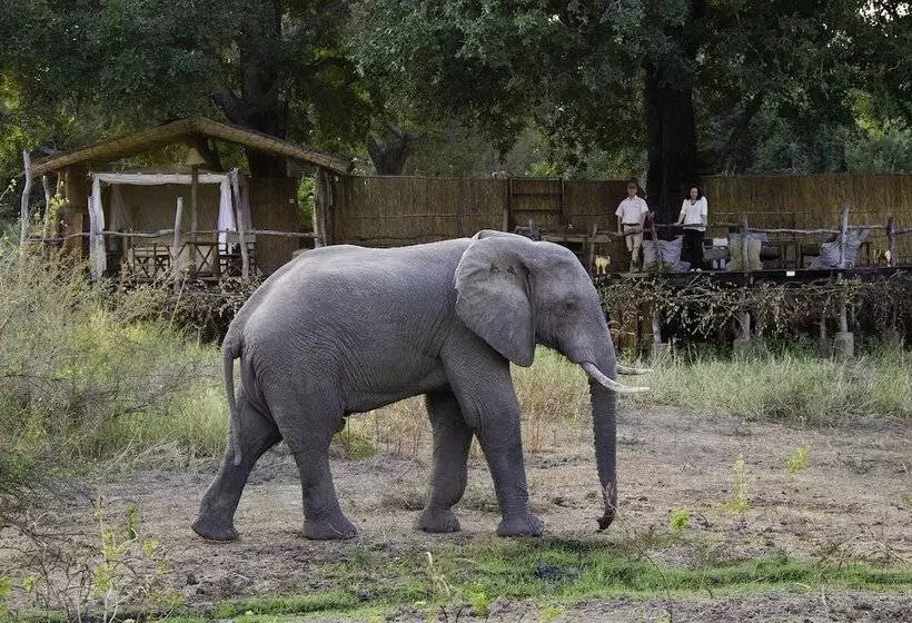 هتل Flatdogs Camp