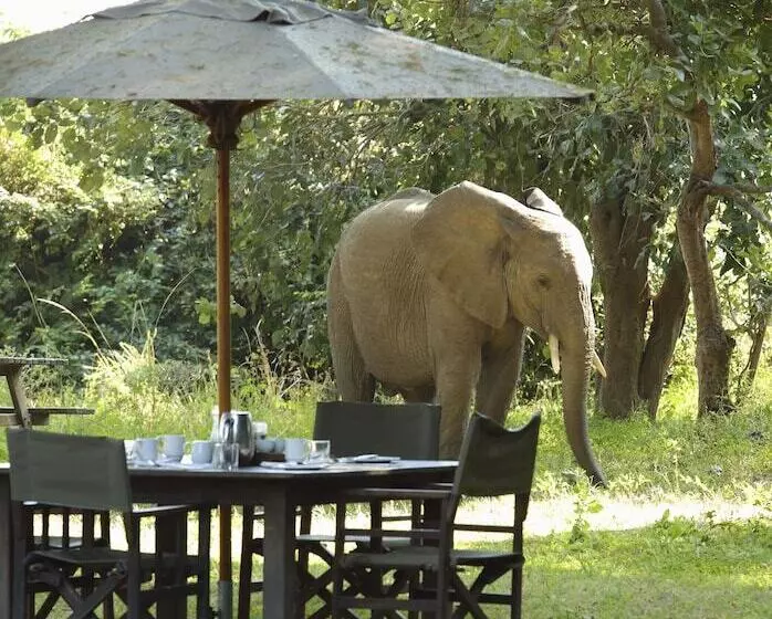 هتل Flatdogs Camp