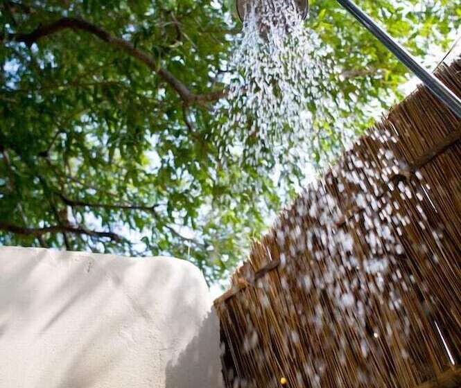 בית מלון כפרי Flatdogs Camp