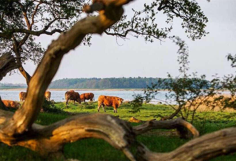 호텔 Fuglsang Herregaard