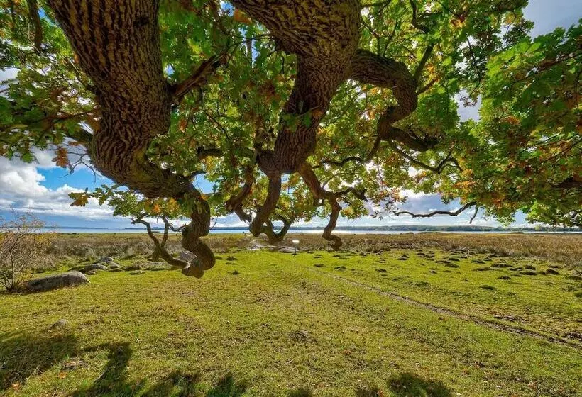 Hotelli Fuglsang Herregaard