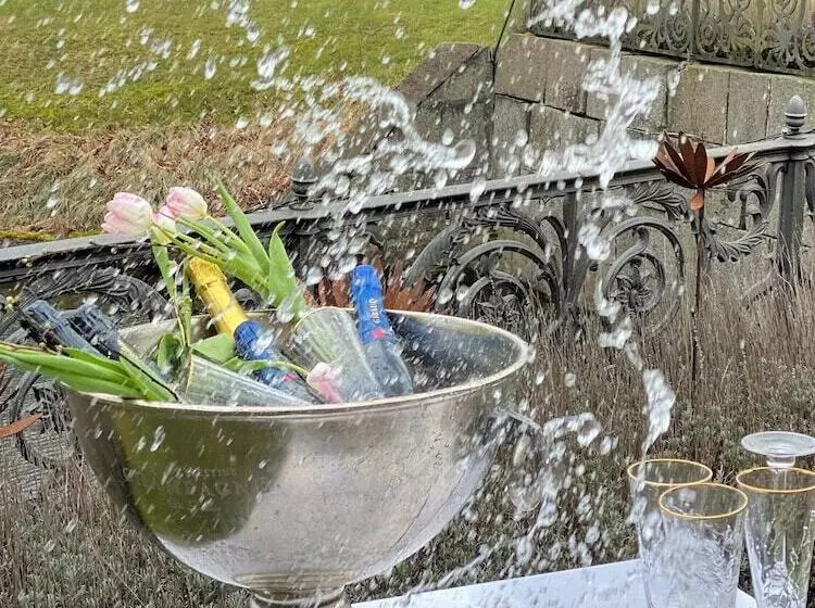 Hotelli Fuglsang Herregaard