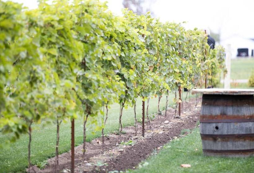 Szálloda Hessenland Inn & Schatz Winery