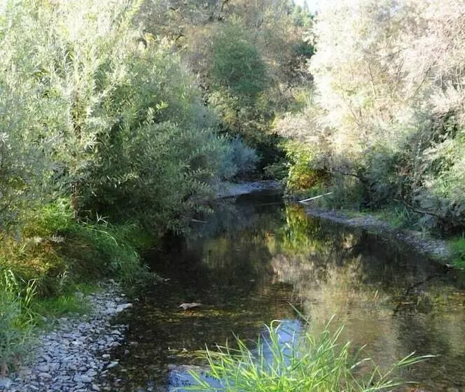 Hotelli Morrison S Rogue River Lodge